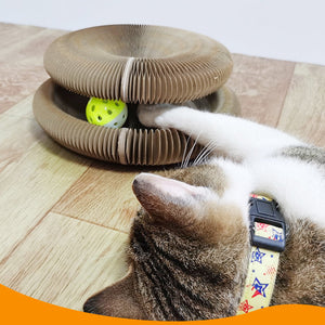 Magic Organ Cat Scratching Board