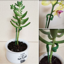 Load image into Gallery viewer, Single Plant Stem(10PCS)