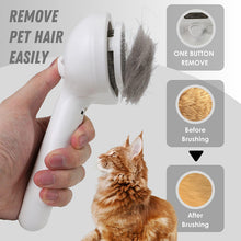 Load image into Gallery viewer, SAKER® Spray Cat Brush