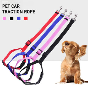 Adjustable Car Dog Leash