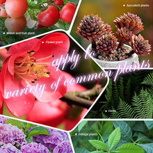 Load image into Gallery viewer, Home Gardening Universal Slow-Release Tablet Organic Fertilizer