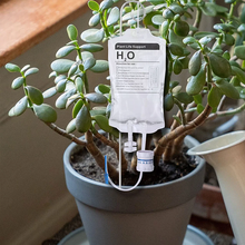 Load image into Gallery viewer, Plant Drip Bag - Plants Drip Irrigation