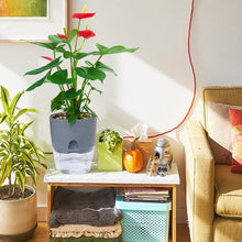 Load image into Gallery viewer, Self-watering Hydroponic Flowerpot