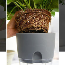 Load image into Gallery viewer, Self-watering Hydroponic Flowerpot