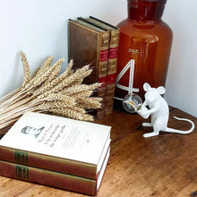 Load image into Gallery viewer, Mouse Shape Table Lamp