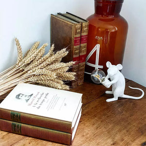 Mouse Shape Table Lamp