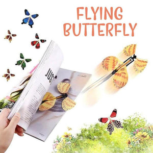 Magic Flying Butterflies