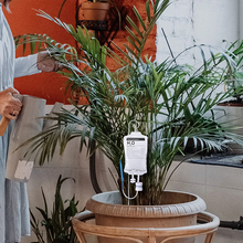 Load image into Gallery viewer, Plant Drip Bag - Plants Drip Irrigation