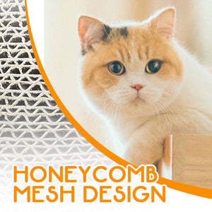 Magic Organ Cat Scratching Board