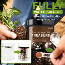 Load image into Gallery viewer, Soil Activated Treasure