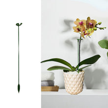 Load image into Gallery viewer, Single Plant Stem(10PCS)