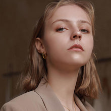 Load image into Gallery viewer, Retractable Earrings-No need piercing
