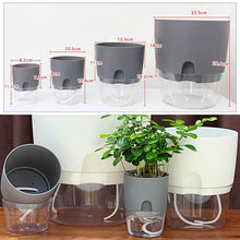 Load image into Gallery viewer, Self-watering Hydroponic Flowerpot
