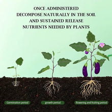 Load image into Gallery viewer, Home Gardening Universal Slow-Release Tablet Organic Fertilizer
