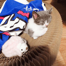 Load image into Gallery viewer, Magic Organ Cat Scratching Board