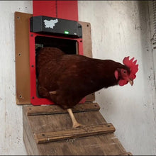 Load image into Gallery viewer, Poultry Farm Automatic Chicken House Door