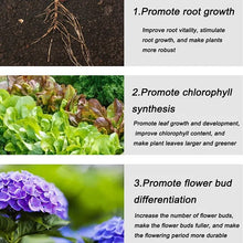 Load image into Gallery viewer, Home Gardening Universal Slow-Release Tablet Organic Fertilizer