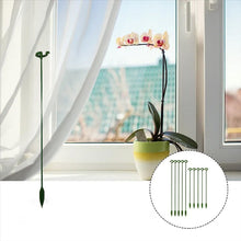 Load image into Gallery viewer, Single Plant Stem(10PCS)