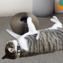Load image into Gallery viewer, Magic Organ Cat Scratching Board
