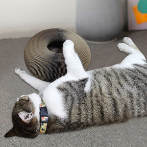 Magic Organ Cat Scratching Board