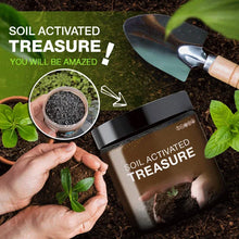 Load image into Gallery viewer, Soil Activated Treasure