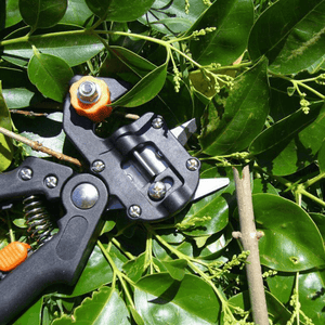 Domom® Professional Garden Grafting Tool Kit