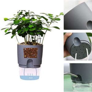 Self-watering Hydroponic Flowerpot