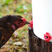 Load image into Gallery viewer, Horizontal Side Mount Chicken Waterer (10 PCS)