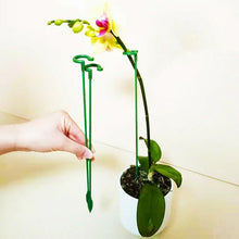 Load image into Gallery viewer, Single Plant Stem(10PCS)