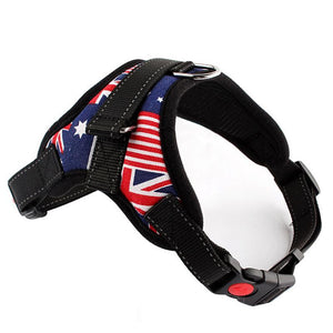 Hirundo® No-Pull Dog Harness, Adjustable Harness for Dogs