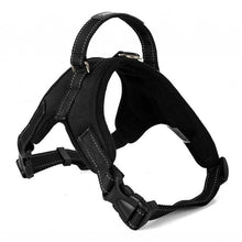 Load image into Gallery viewer, Hirundo® No-Pull Dog Harness, Adjustable Harness for Dogs