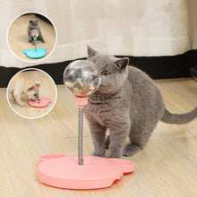 Load image into Gallery viewer, Leaking Treats Ball Pet Feeder Toy