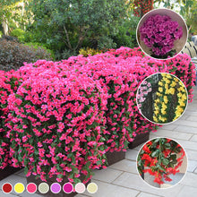 Load image into Gallery viewer, Simulated Violet Hanging Basket