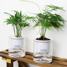 Load image into Gallery viewer, Self-watering Hydroponic Flowerpot